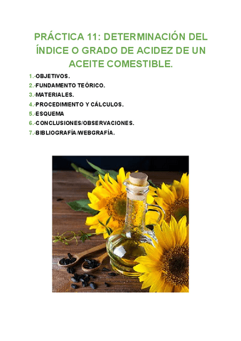 PRACTICA-11-ANALISIS.pdf