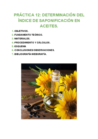 PRACTICA-12-ANALISIS.pdf