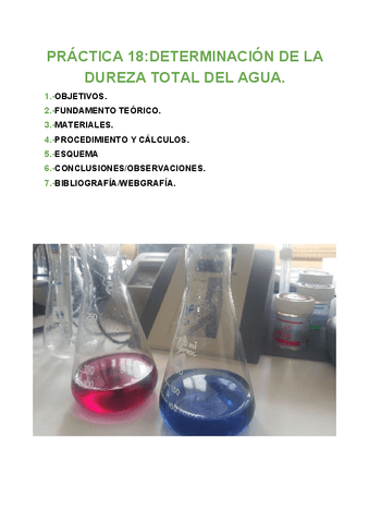 PRACTICA-18-ANALISIS.pdf