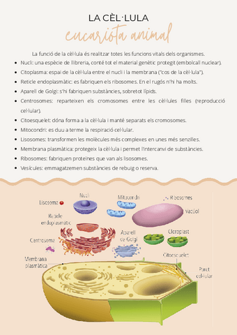 La-cellula-eucariota-animal.pdf