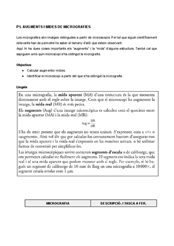 P1.-Augment-i-mides-de-micrografies.pdf