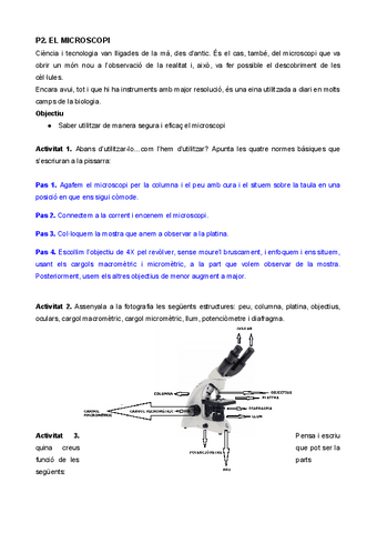 P2.-El-microscopi.pdf