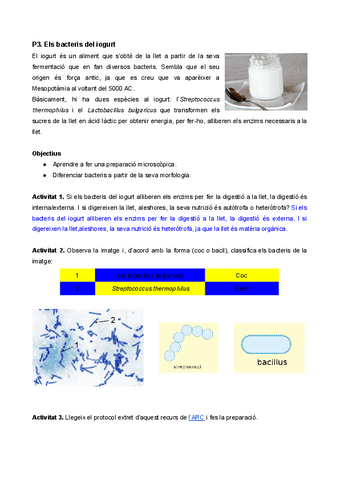 P3.-Els-bacteris-del-iogurt.pdf