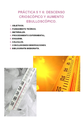 PRACTICA-5-Y-6-FISICOQUIMICA.pdf