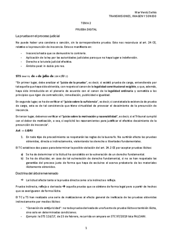 TEMA-2-TIS-LEGAL.pdf