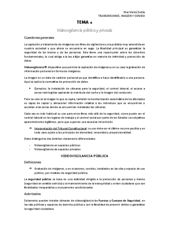 TEMA-6-TIS-parte-juridica.pdf