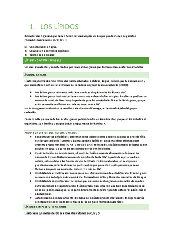 Tm-3-LIPIDOS.pdf