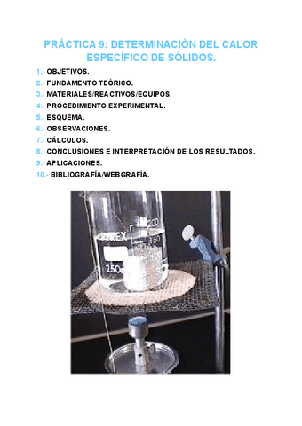 PRACTICA-9-FISICOQUIMICA.pdf