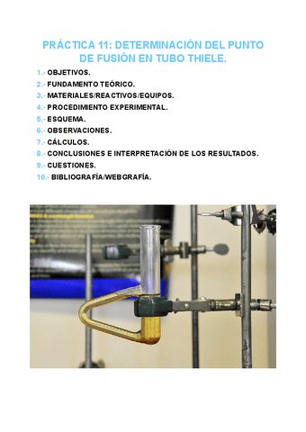 PRACTICA-11-FISICOQUIMICA.pdf