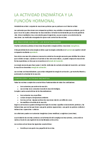 Tm-4b-ENZIMAS.pdf