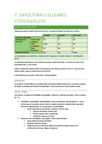 Tm-7-ENVOLTURAS-NUCLEARES.pdf