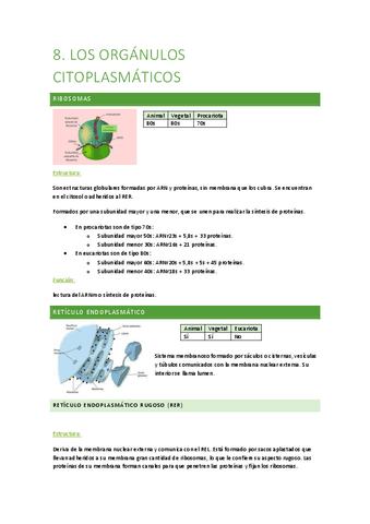 Tm-8-ORGANULOS-CITOPLASMATICOS.pdf