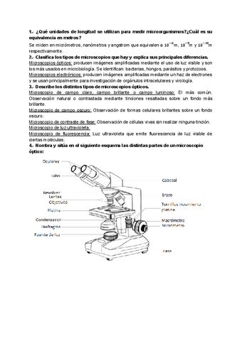 MICROSCOPIO-OPTICO-ACTIVIDADES.pdf