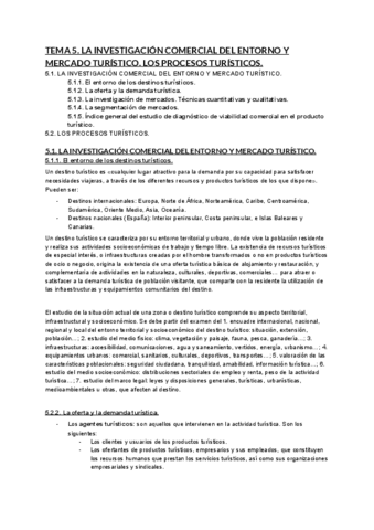TEMA-5.-LA-INVESTIGACION-COMERCIAL-DEL-ENTORNO-Y-MERCADO-TURISTICO.-LOS-PROCESOS-TURISTICOS..pdf