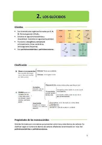 2.-glucidos.pdf