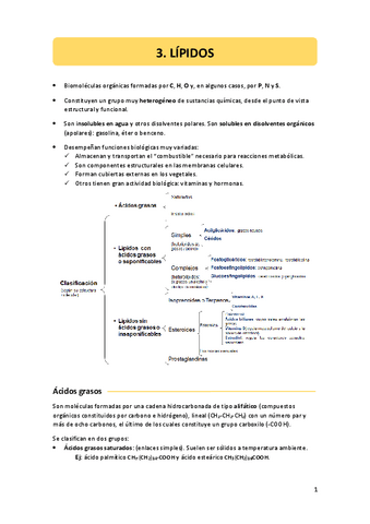 3.-lipidos.pdf