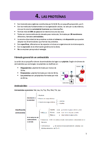 4.-proteinas.pdf
