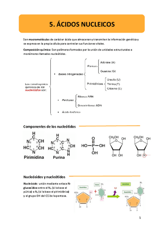 5.-acidos-nucleicos.pdf