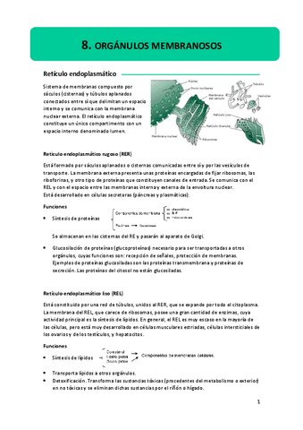 8.-organulos-membranosos.pdf