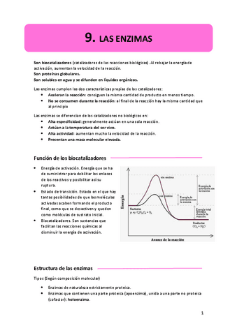 9.-enzimas.pdf
