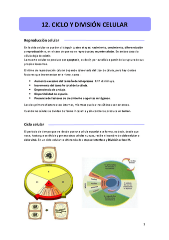 12.-ciclo-y-division-celular.pdf