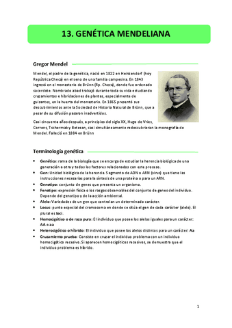 13.-genetica-mendeliana.pdf