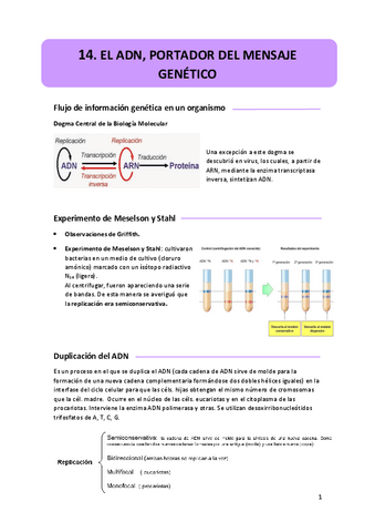 14.-el-adn.pdf