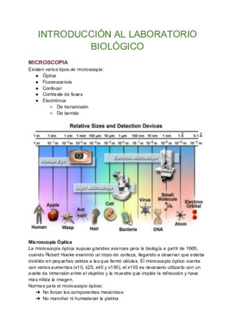 LECCIONES.pdf