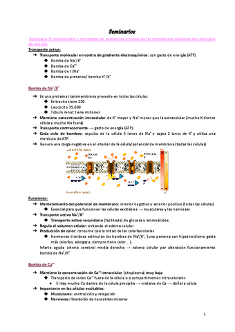 Seminarios.pdf