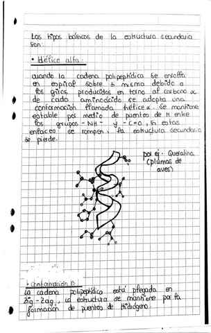 Biologia-4.pdf