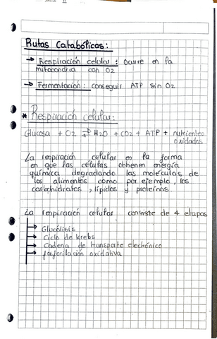 Biologia-7.pdf