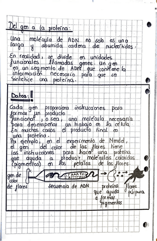 Biologia-9.pdf