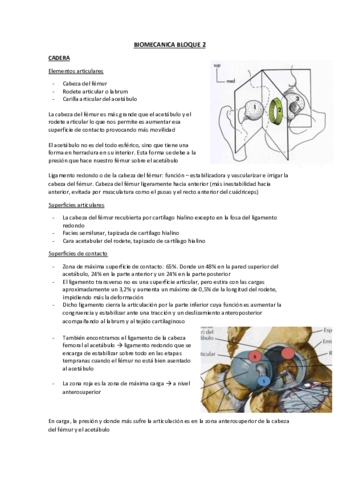 BIOMECANICA BLOQUE 2.pdf