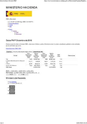 ConcelloPMP-diciembre.pdf