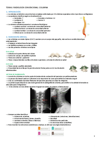 TEMA-6-RADIOLOGIA.pdf