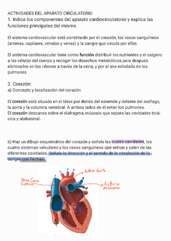 Anatomia-aparato-circulatorio.pdf