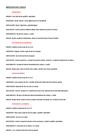 MUSCULOS-Y-DIBUJO.pdf