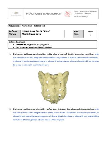 TRABAJO-OPCIONAL-INFERIOR.pdf