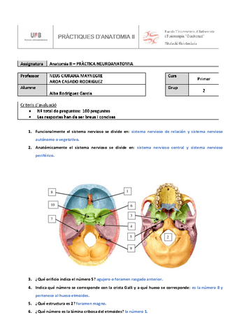 TRABAJO-OPCIONAL-NEUROANATOMIA.pdf