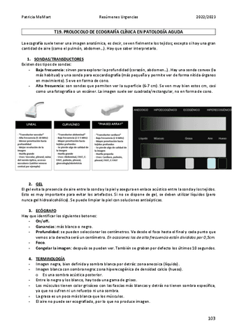T19.-Introduccion-Ecografia.pdf