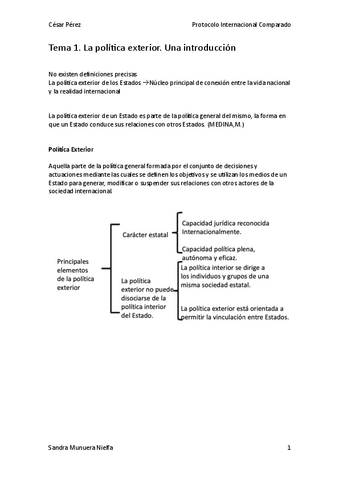 Tema-1-pi.pdf