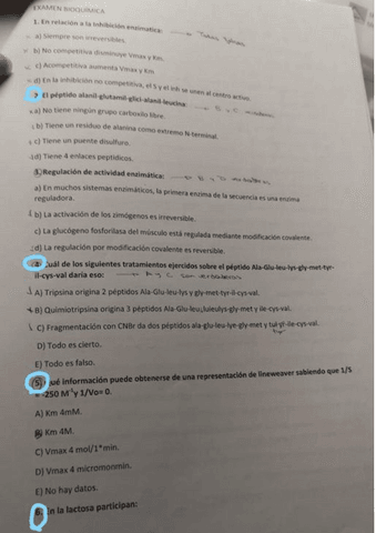 Examen-Bioquimica.pdf