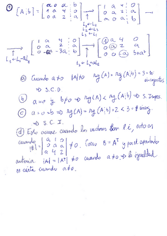 ExamenEnero2019Soluciones.pdf