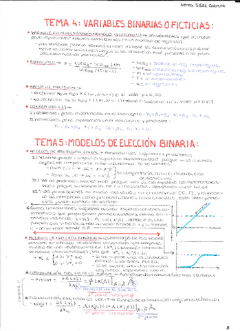 TEORIA-ECONOMETRIA-2.pdf