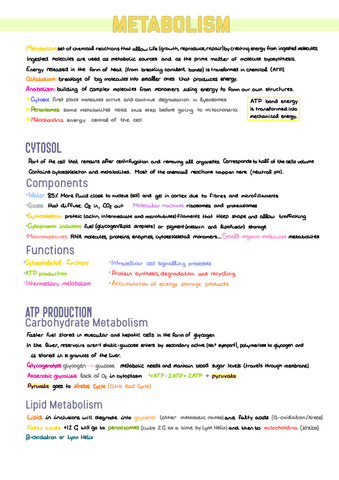 9.-Metabolism.pdf