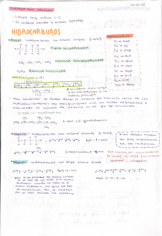 Formulacion-organica.pdf