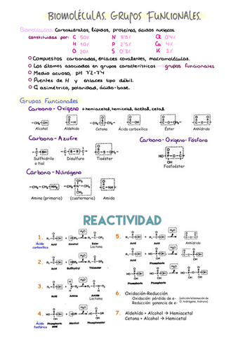 1.-Biomoleculas-Grupos-Funcionales.pdf