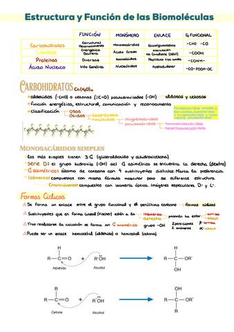 2.-Carbohidratos-y-PREGUNTAS.pdf