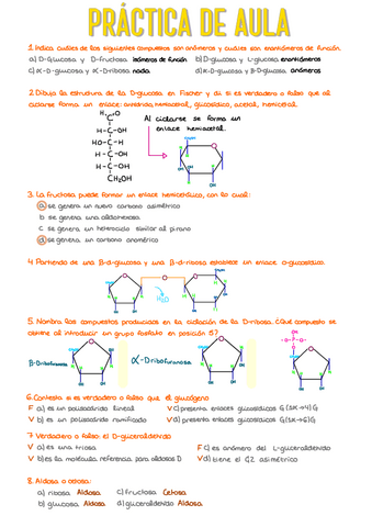 5.-Practica-de-Aula-Biomoleculas.pdf