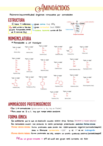 6.-Aminoacidos-y-PREGUNTAS.pdf